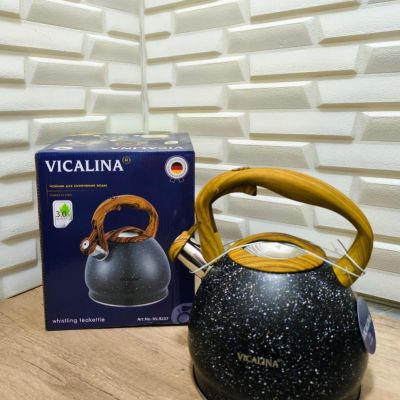 براد ستانلس سعة 3لتر Vicalina