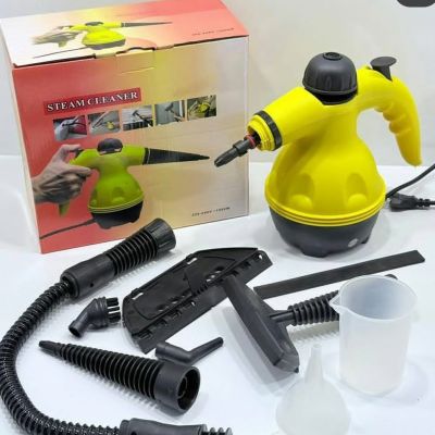 Steam Cleaner for Stain Removal