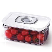https://www.torbini.com/uploads/products/t/s-p-11-p-11.jpg