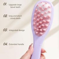 https://www.torbini.com/uploads/products/t/s-p-114-p-252.jpg