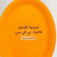 https://www.torbini.com/uploads/products/t/s-p-1335-p-1702.jpg
