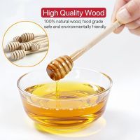 https://www.torbini.com/uploads/products/t/s-p-177-p-331.jpg
