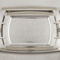 https://www.torbini.com/uploads/products/t/s-p-2015-p-2417.png