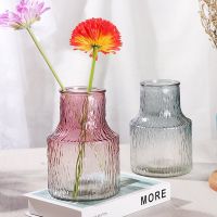 https://www.torbini.com/uploads/products/t/s-p-251-p-458.jpg