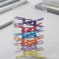 https://www.torbini.com/uploads/products/t/s-p-2846-p-3302.jpg
