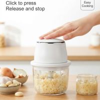https://www.torbini.com/uploads/products/t/s-p-3690-p-4408.jpg