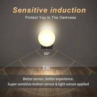 https://www.torbini.com/uploads/products/t/s-p-4006-p-4816.jpg