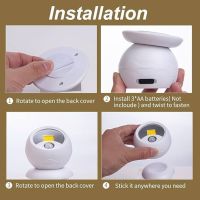 https://www.torbini.com/uploads/products/t/s-p-4006-p-4823.jpg