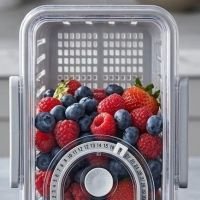 https://www.torbini.com/uploads/products/t/s-p-431-p-651.jpg