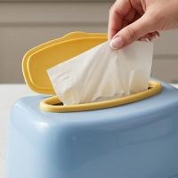 https://www.torbini.com/uploads/products/t/s-p-433-p-654.jpg