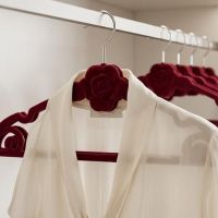 https://www.torbini.com/uploads/products/t/s-p-443-p-669.jpg