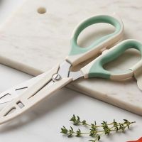 https://www.torbini.com/uploads/products/t/s-p-446-p-674.jpg