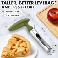 https://www.torbini.com/uploads/products/t/s-p-644-p-946.jpg