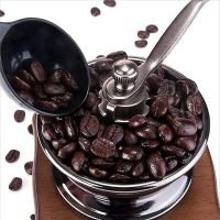 https://www.torbini.com/uploads/products/t/s-p-70-p-88.jpg