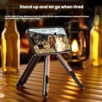 https://www.torbini.com/uploads/products/t/s-p-89-p-181.jpg