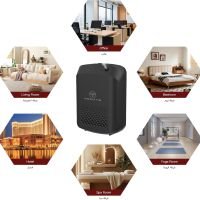 https://www.torbini.com/uploads/products/t/s-p-93-p-199.jpg